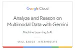 Analyze and Reason on Multimodal Data with Gemini