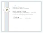 NodeJS: Essential Training